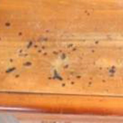 Burn marks on the top of a table