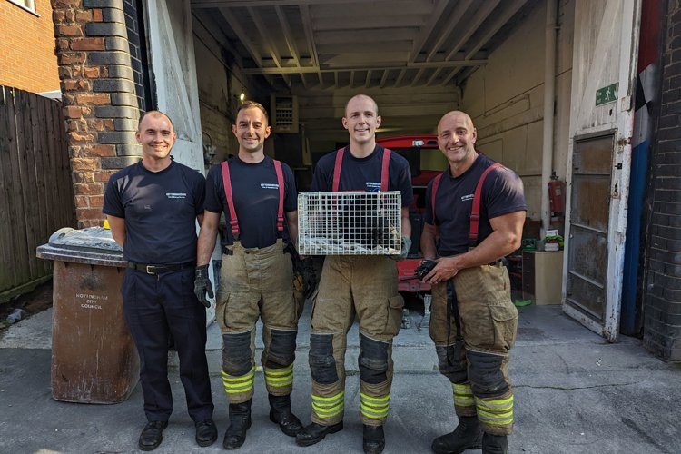 Stockhill firefighters pose with rescued cat