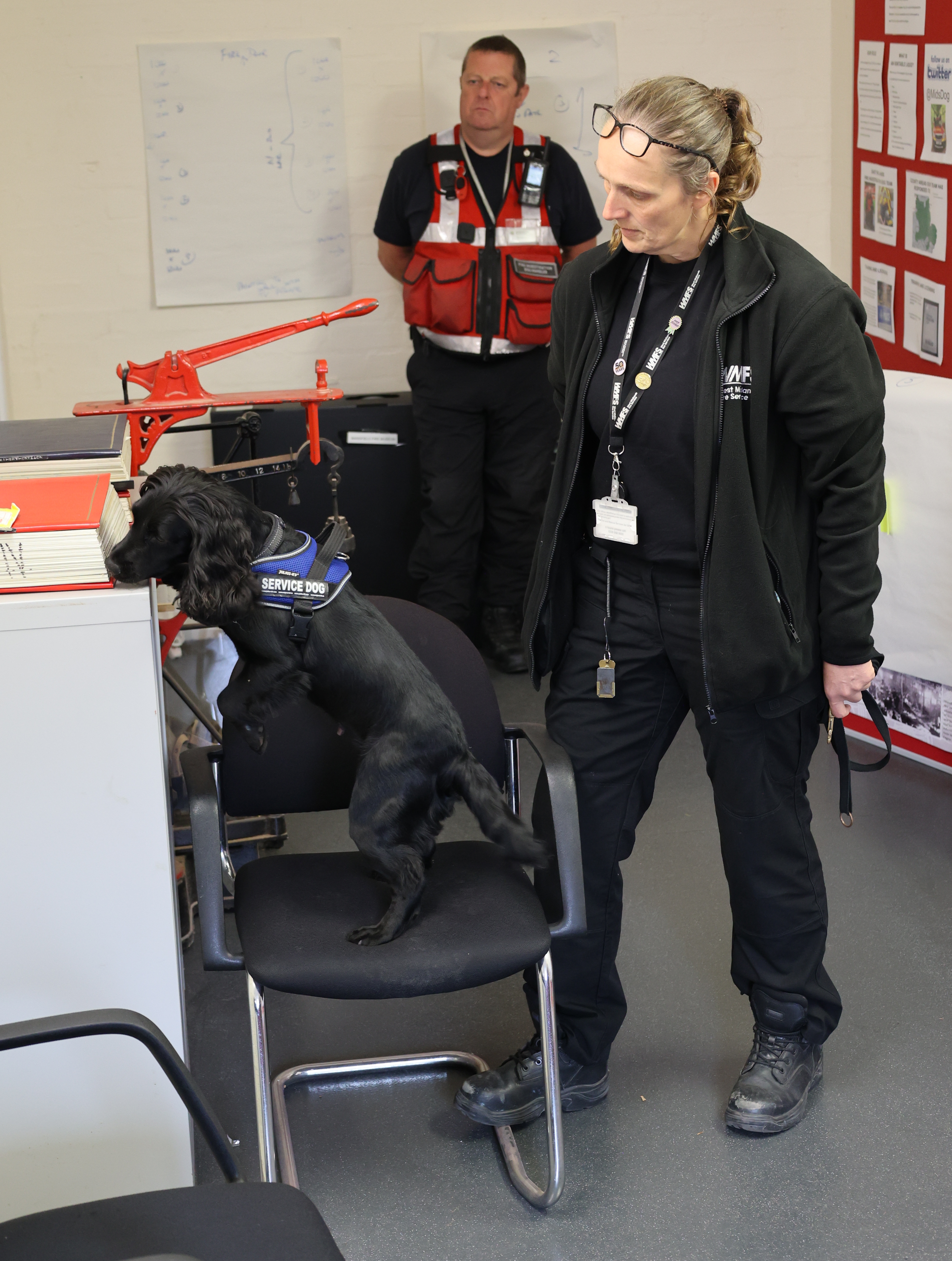 dog sniffing office supplies
