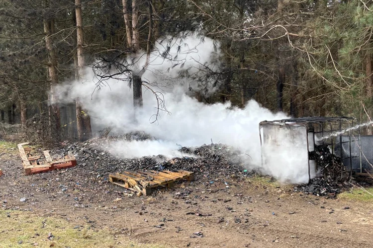 landscape photo of a lot of smoke in woodland with batteries on the floor