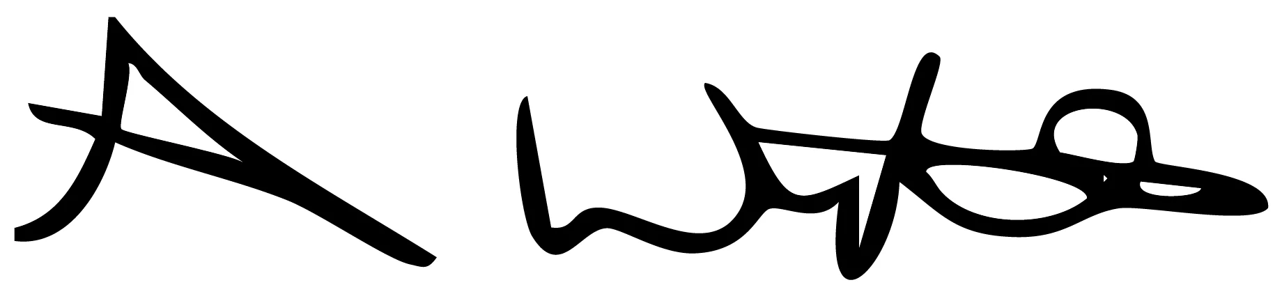 Signature of Councillor Audra Wynter Chair of the Combined Fire Authority