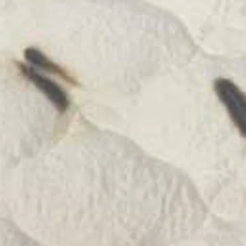 Close-up of cigarette burns on a mattress