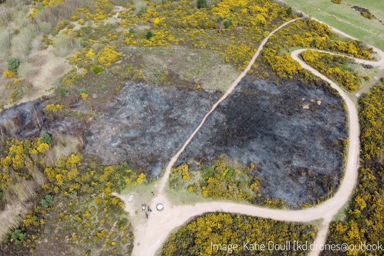 Arial view of grassland damaged by fire in Vicars Water
