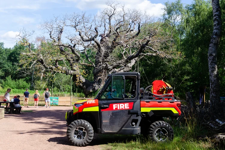 Side profile of fire polaris vehicle infront of Major Oak