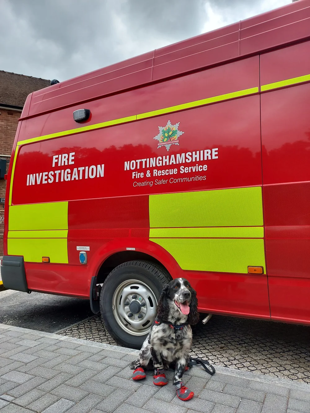 Dexter the fire investigation dog sitting in front of the fire investigation van.