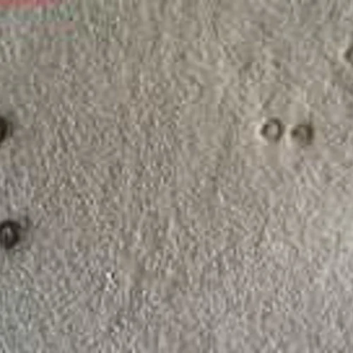 Small burn marks on a carpet